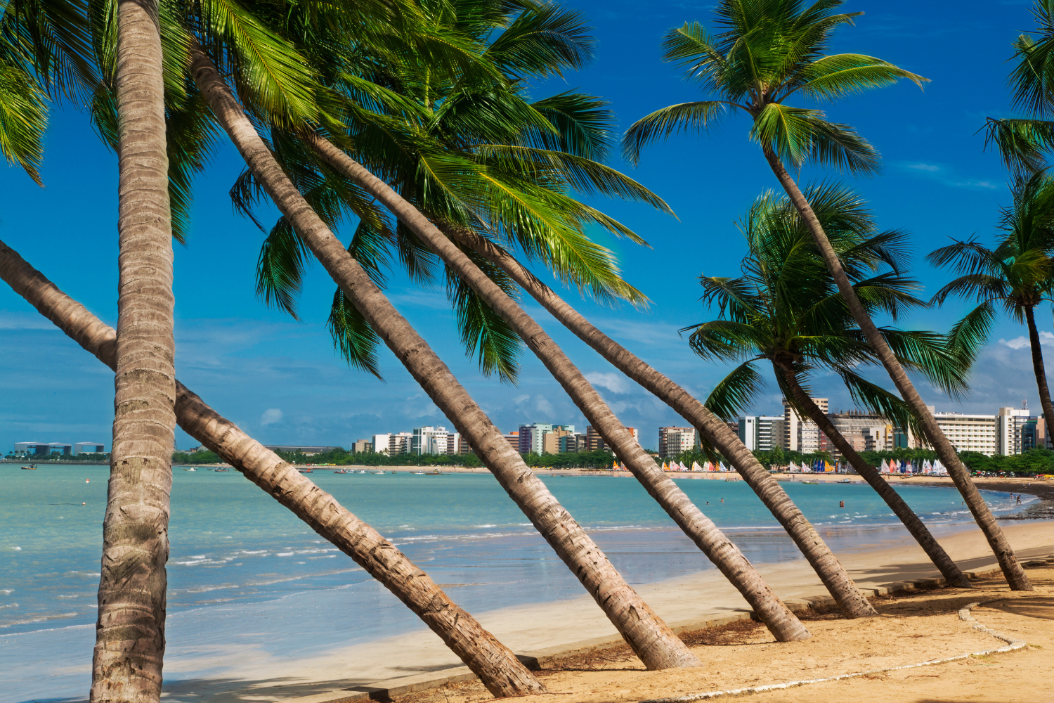 Maceió Sol e Mar >> Saida 07/08/26